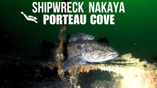 Porteau Cove, scuba diving, wreck Nakaya