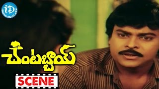 Chantabbai Movie Scenes - Suthi Veerabhadra Rao Comedy || Chiranjeevi || Suhasini