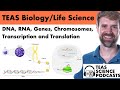 TEAS Biology Podcast: DNA, RNA, Genes, Chromosomes, Transcription and Translation