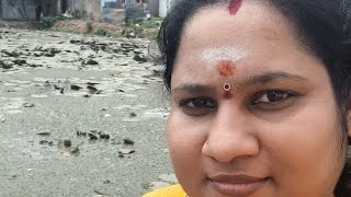 sangavi Samayal is live சண்டே லைவ் வந்தாச்சு நண்பர்களே