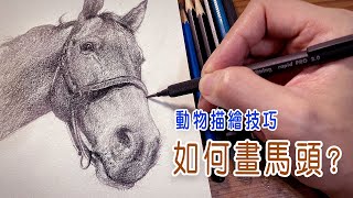 【動物描繪技巧】如何畫馬頭? ｜繪畫分享班-上課實錄｜2021.11.05