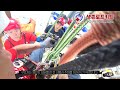 crt 트리클라이밍 응급구조 crt treeclimbing emergency rescue