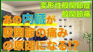 【福岡　股関節痛　変形性股関節症】あの内臓が股関節の痛みの原因になる！？