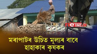 মৰাপাটৰ উচিত মূল্যৰ বাবে হাহাকাৰ কৃষকৰ