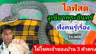 ไลฟ์สด(งูเขียวพระอินทร์)ให้โชคเจ้าของบ้าน 3 ตัวตรง1 ก.พ 68#ถูกรางวัลที่ 1