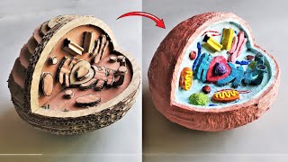 Cardboard Animal Cell Model DIY