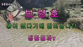 보령호 꽝이 없다기에 달려갑니다. 진짜일까요?  #fishing #낚시 #붕어낚시