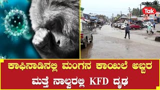 Chikkamagaluru | ಚಿಕ್ಕಮಗಳೂರಿನಲ್ಲಿ ಮಂಗನ ಕಾಯಿಲೆ ಭೀತಿ ಹೆಚ್ಚಳ-ಮತ್ತೆ ನಾಲ್ಕು ಪ್ರಕರಣಗಳು ಪತ್ತೆ #karnatakatak