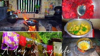 ആർഭാടങ്ങളില്ലാത്ത എന്റെ ചില വീട്ടുജോലികൾ/a day in my life #cleaningtips @BanuWorld