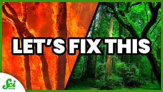 Our Roadmap to Fix Climate Change | SciShow News