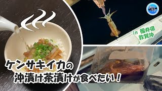 【食欲の秋】マイカ（ケンサキ）沖漬け茶漬けを食べたい！いざ敦賀沖へ！