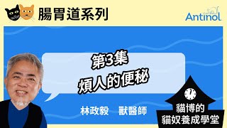 貓博的貓奴學堂｜腸胃道系列_第3集｜惱人的便秘