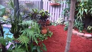 Scott Mulch Job In South Florida 7-13-15