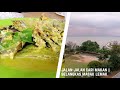 Belangkas Masak Lemak || Jalan-jalan Cari Makan #PantaiRemis #JeramSelangor