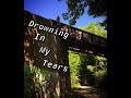 Drowning In My Tears // Emanuela Sas (Lyric Video)