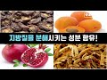 10. 복숭아는 여름에 먹어야 좋은 과일 꼭 한번은 드셔야합니다 과일류의 4가지성질 ｜건강백과