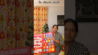 అమెరికా లో ఎక్కువ గా ఇచ్చే Christmas 🎁 gift.    #usateluguchannel  #christmasgift