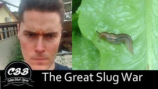 The Great Slug War