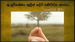 ශු.සුවිශේෂය තුළින් දේව පණිවිඩය සොයා..📖😇 2025.01.31 |Daily Bible | #bible| #bibleverse |#gospel