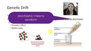 Non-adaptive mechanisms of evolution
