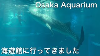 【海遊館】大阪にある水族館に行ってきました/Osaka Aquarium KAIYUKAN.