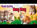 Kucing Oyen Ngambek Bikin Ngakak😹ANAK KUCING MEONG MEONG‼️FUNNY KITTEN VIDEOS #kucinglucu #funnycats