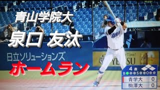 青山学院大学　泉口友汰　ホームラン(和歌山日高ボーイズ-大阪桐蔭)【2021年東都大学野球秋季リーグ　駒澤大学戦】NTT西日本→2023年 読売ジャイアンツ ドラフト４位