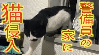 【警備員VS猫】警備員の自宅に侵入する猫と追い出す警備員