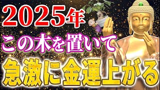 【金運最強アイテム】玄関に置くだけで驚くほど運気が上がる観葉植物5」