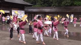 八木山すずめでござる　どんとロード八幡仙臺雀踊り2015