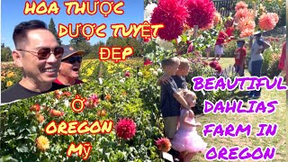 VƯỜN HOA THƯỢC DƯỢC TUYỆT ĐẸP Ở OREGON MỸ/VERY BEAUTIFUL DAHLIAS FARM IN OREGON FREE ADMISSION