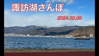 諏訪湖さんぽ 2024.02.08 #長野県諏訪湖 #live #御神渡り #鴨 #オオバン #鳥 #bird