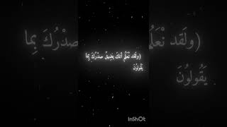 اخر فيد😕💔؟ #حمله_توصيل_دكتور_نبهان_ثنين_مليون #دكتور_نبهان