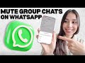 How to Mute Group Chats on WhatsApp (Step-by-Step Guide)