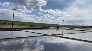 農家の田植え　田舎の田園風景　GW　21/5/3