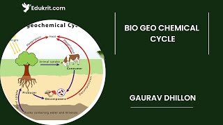 L11 Biogeochemical Cycle: Earth's Natural Recycling System Explained