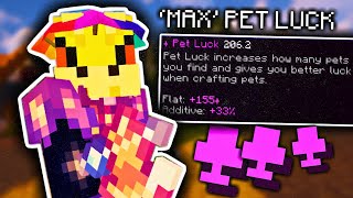 'MAX' pet luck is so stupid... (Hypixel Skyblock)