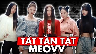 TẤT TẦN TẬT Về MEOVV | Hồ Sơ 'Ai Đồ' | K.D - Kpop