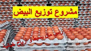 كيفاش تبدا مشروع توزيع البيض و تحقق أرباح كثيرة