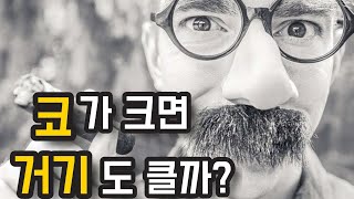 코가 크면 '거기'도 클까?