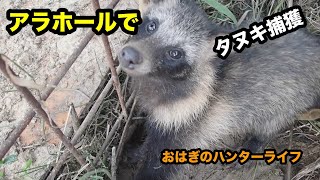 【狩猟3-26】雑木林のタヌキをアラホールで捕獲