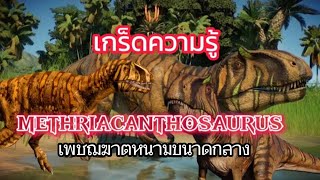 เกร็ดความรู้ตอนที่ 52 เมเทียแคนโทซอรัส เพชฆาตหนามขนาดกลาง