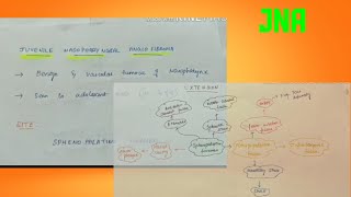 juvenile nasopharyngeal angiofibroma | JNA | ENT | English | clinical features | management