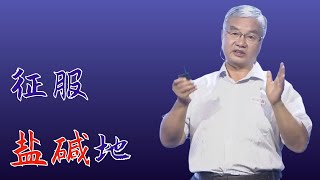 242｜田长彦：这片无污染的盐碱地，种出了“可盐可甜”的特殊蔬菜｜中国科学院新疆生态与地理研究所｜格致SELF