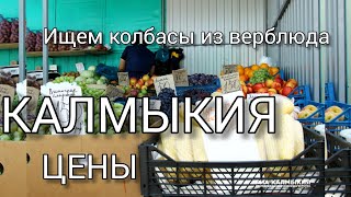 ЦЕНТРАЛЬНЫЙ РЫНОК В ЭЛИСТЕ. ЦЕНЫ НА ПРОДУКТЫ. НАШЕ ПУТЕШЕСТВИЕ В КАЛМЫКИЮ