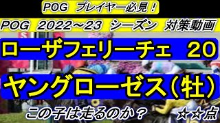 このＰＯＧ専用動画で戦い抜け！　ローザフェリーチェ２０　馬名はヤングローゼス