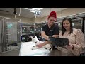 tour medvet mandeville emergency u0026 specialty veterinary care hospital