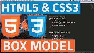 HTML5 and CSS3 beginner tutorial 16 - The CSS box model