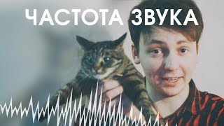 Что такое ЧАСТОТА звука и почему она важна?