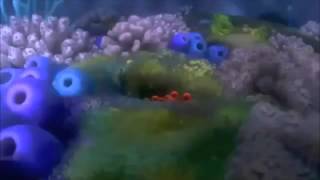Finding Nemo Nemo Egg Scene cutted